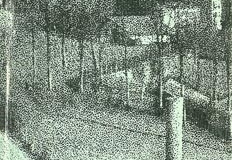 2. salaberria