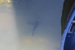 xdz4_arg_000115_021