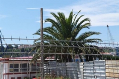 xdz4_arg_000115_039