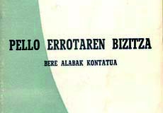 7. Auspoa liburuak txiki
