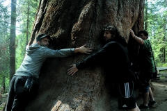 Yosemite