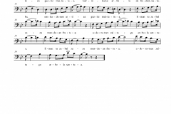 Rudolf Trebitschek grabatutako kantuaren partitura (testuan ere agertzen da)