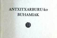 Jean-Barbier-Antxitxarburuko-buhamiak