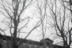 Kartzelak Paris006