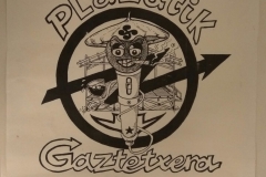 plazatik gaztetxera (1)