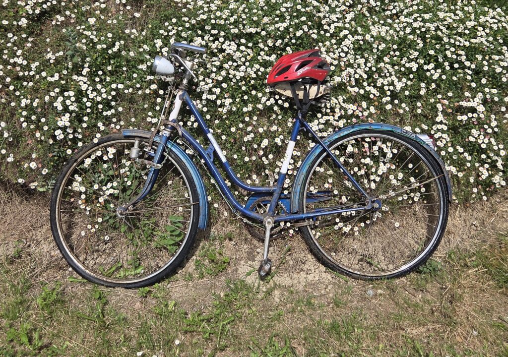 Gomendioak Gomendioak